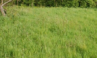 Terrain  616 m² à vendre à Colleville (76400)