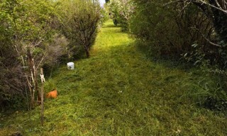 Photo N° 2