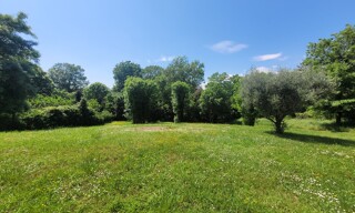 Terrain  1000 m² à vendre à Saint-Paul-de-Vence (06570)