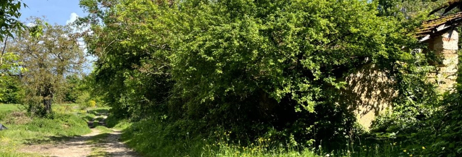 Maison 6 Pièces 212 m² à vendre à Condeissiat (01400)