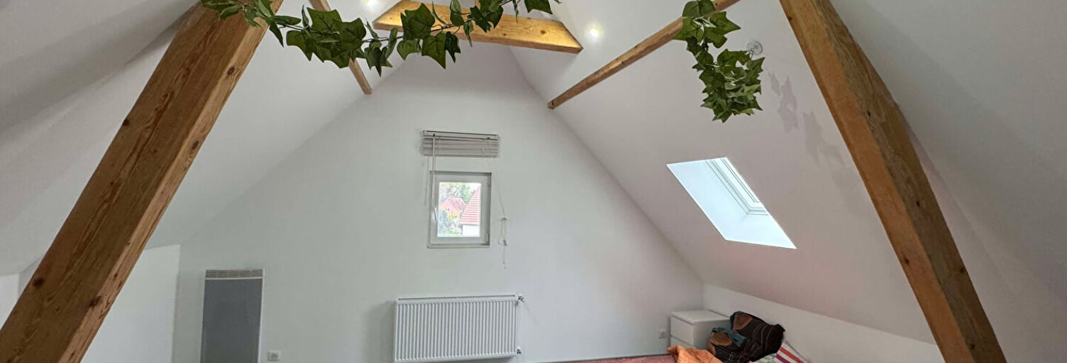 Immeuble  196 m² à vendre à Gundolsheim (68250)