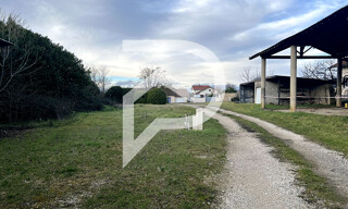 Photo N° 5