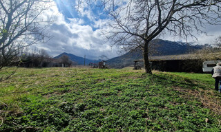 Photo N° 5