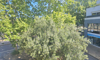 Photo N° 4