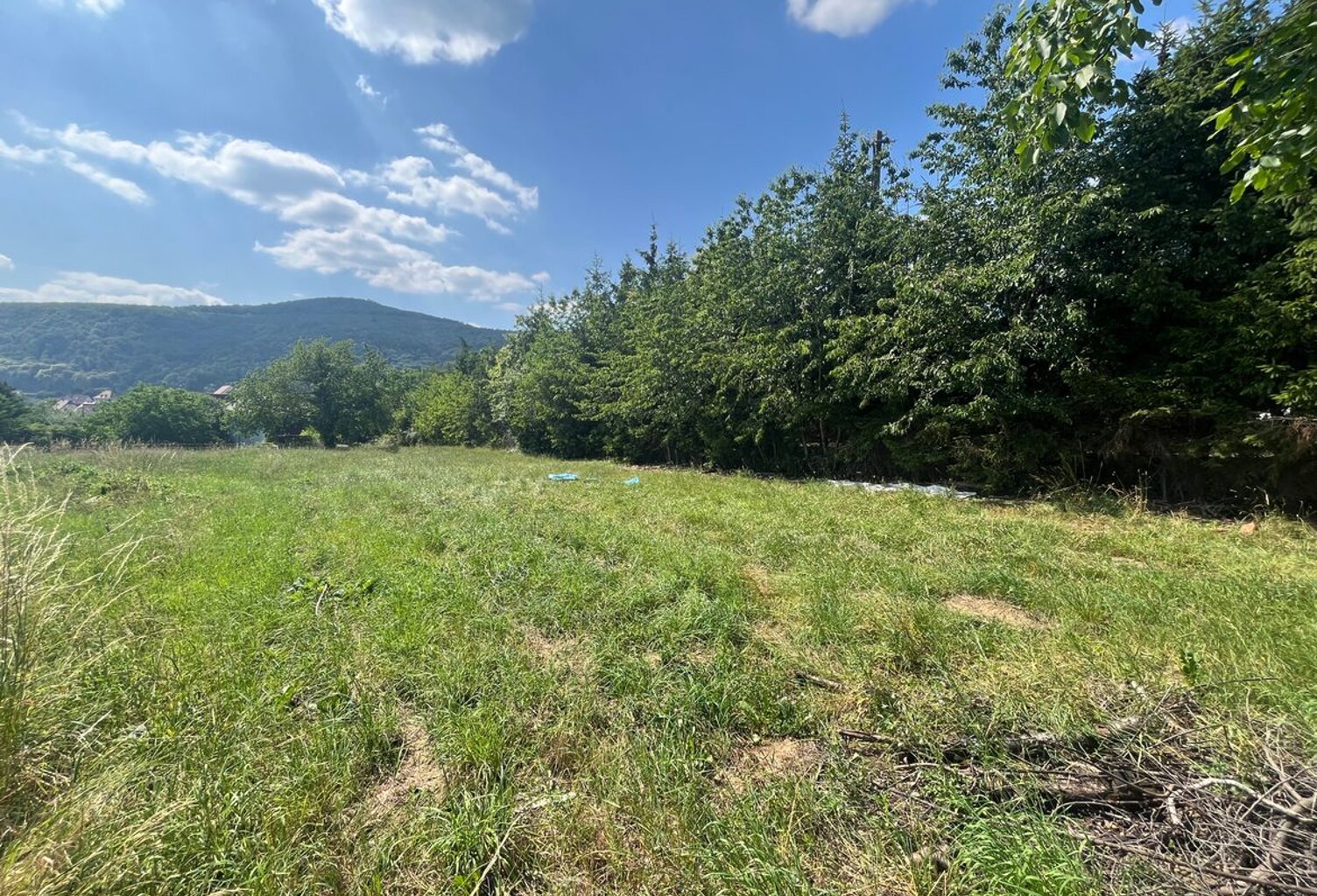 Terrain nu — photo 1