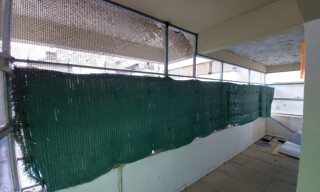 Photo N° 3