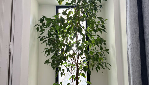 Villa / Maison 4 pièces  à vendre Saint-Aunès 34130