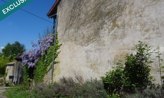 Photo N° 8