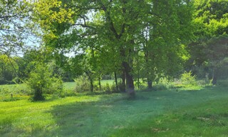 Photo N° 6