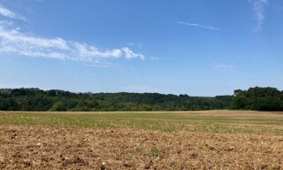 Photo N° 4