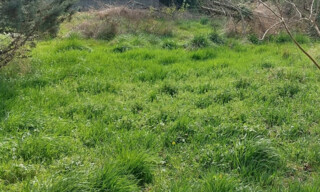 Terrain  887 m² à vendre à Clermont-le-Fort (31810)
