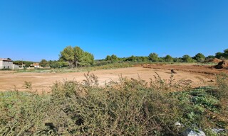 Photo N° 3