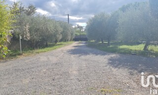 Photo N° 6