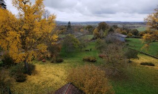 Photo N° 8