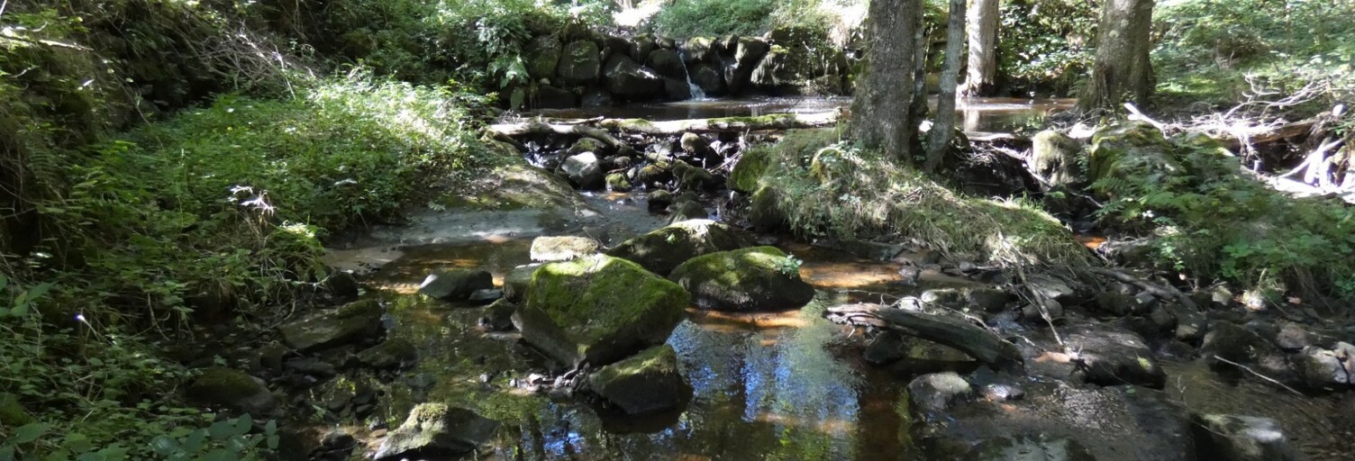 Maison 13 Pièces 367 m² à vendre à Saint-Ferréol-des-Côtes (63600)