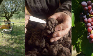 Terrain  20000 m² à vendre à Rochegude (26790)