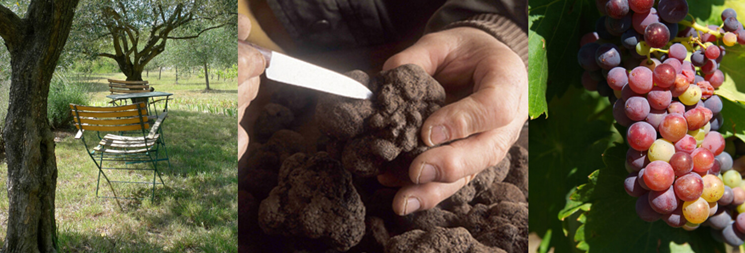 Terrain  20000 m² à vendre à Rochegude (26790)