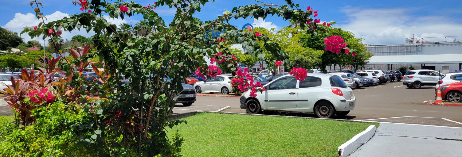 Commerce  92 m² à louer à Le Gosier (97190)