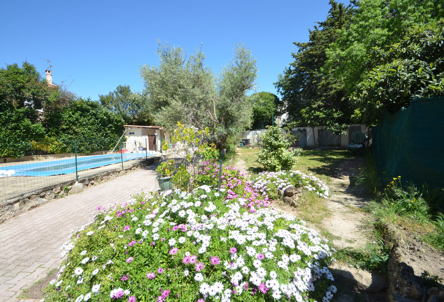 Maison 2 Appartements + piscine — photo 1