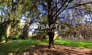 Photo N° 5
