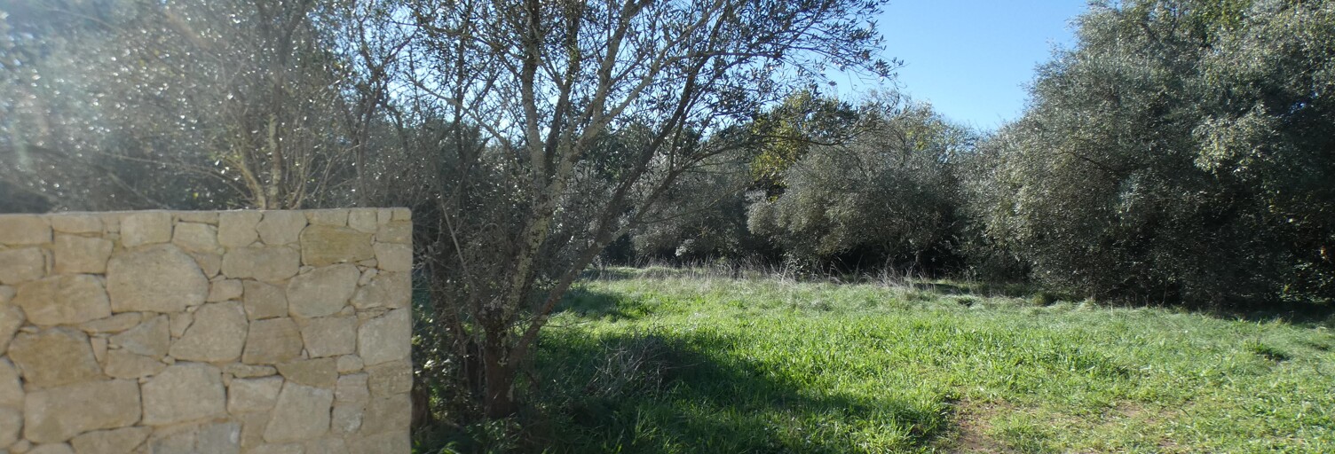 Terrain 1341 m² à construire Uzès (30700)