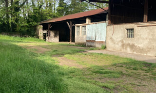 Photo N° 4
