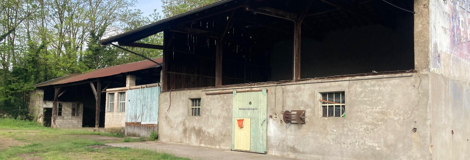 Commerce  215 m² à louer à Saint-Georges-de-Reneins (69830)