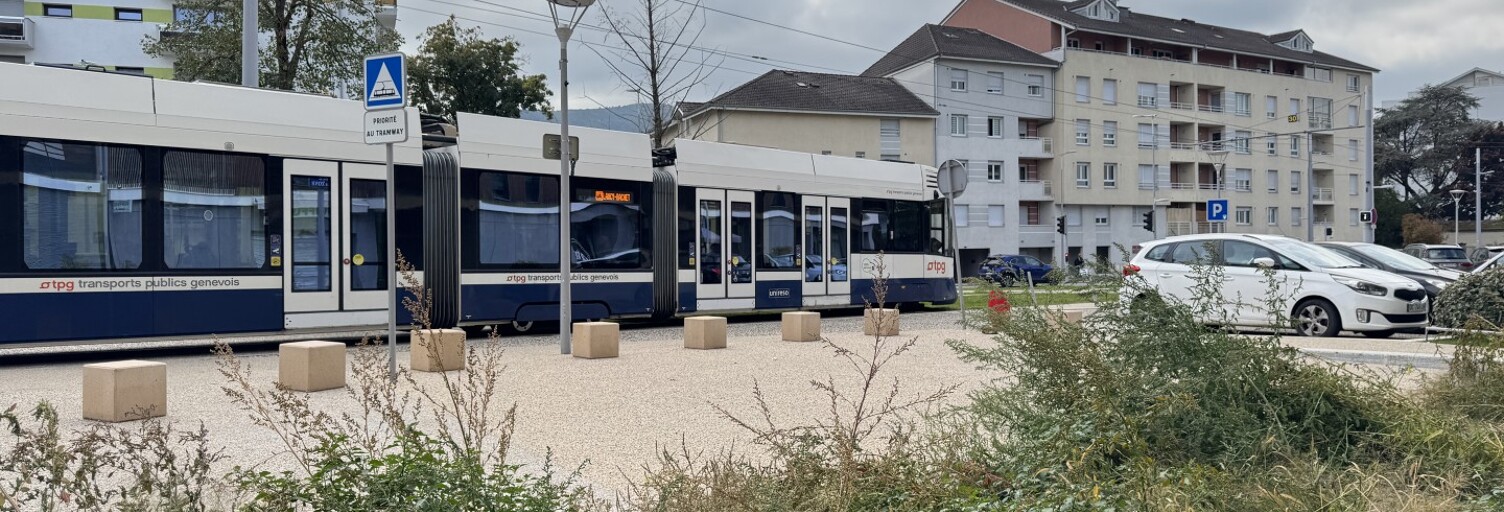 Commerce 1 Pièce 73 m² à louer à Ambilly (74100)