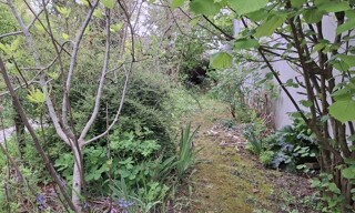 Photo N° 6