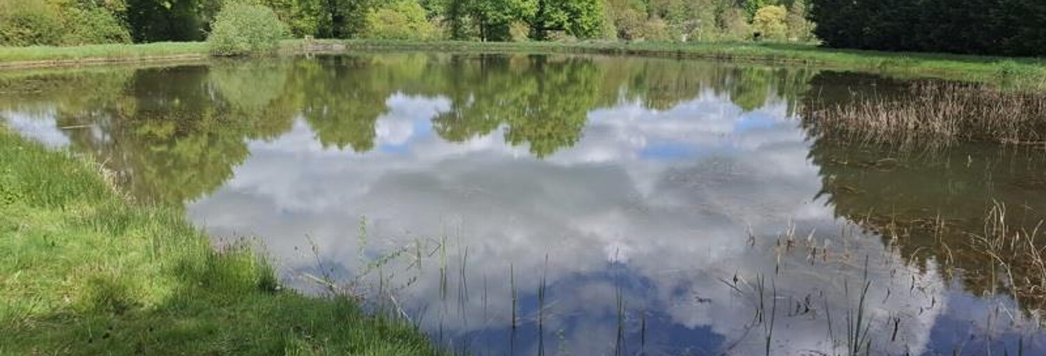 Terrain  15916 m² à vendre à Châtillon-sur-Indre (36700)