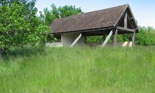 Photo N° 8