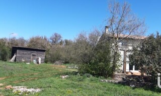 Photo N° 3