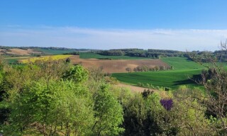 Photo N° 3
