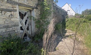 Photo N° 3
