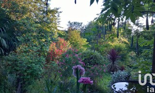 Photo N° 4
