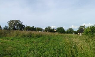 Terrain  1000 m² à vendre à Vains (50300)