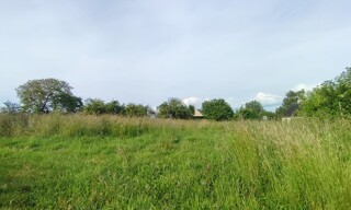 Photo N° 4