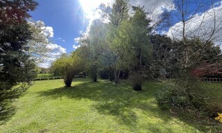 Photo N° 4