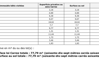 Photo N° 19