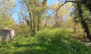 Photo N° 3