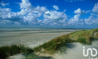 Photo N° 5