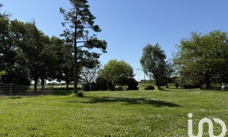 Photo N° 6