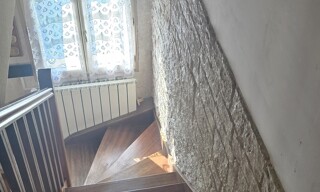 Photo N° 7