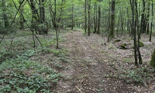 Terrain  7830 m² à vendre à Mesnil-en-Ouche (27330)
