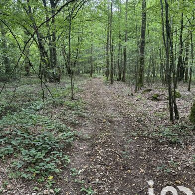 Terrain  19000 €