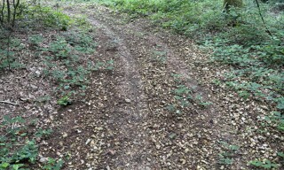 Photo N° 3