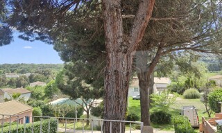 Photo N° 5