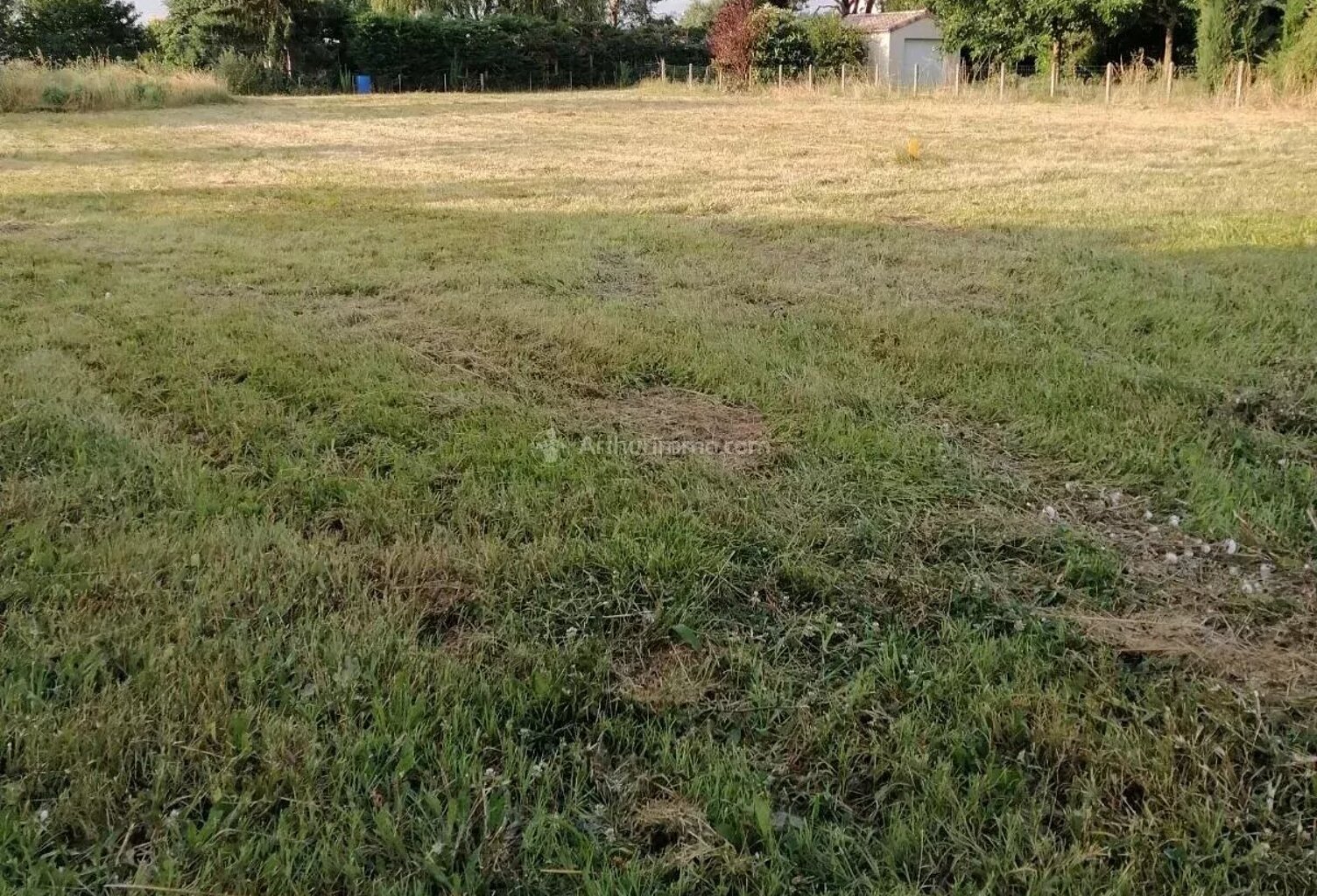 MARSSAC - TERRAIN CONSTRUCTIBLE 899 M2 — photo 1