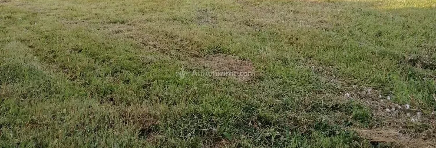 Terrain  899 m² à vendre à Marssac-sur-Tarn (81150)