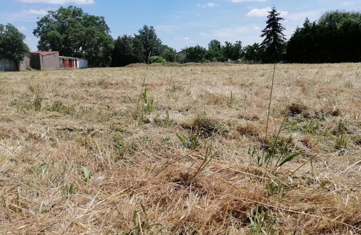 MARSSAC - TERRAIN CONSTRUCTIBLE 899 M2 — photo 2